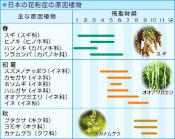 花粉カレンダー