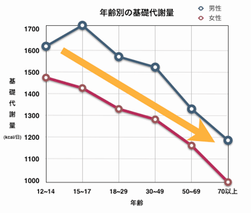 基礎代謝量 年齢推移