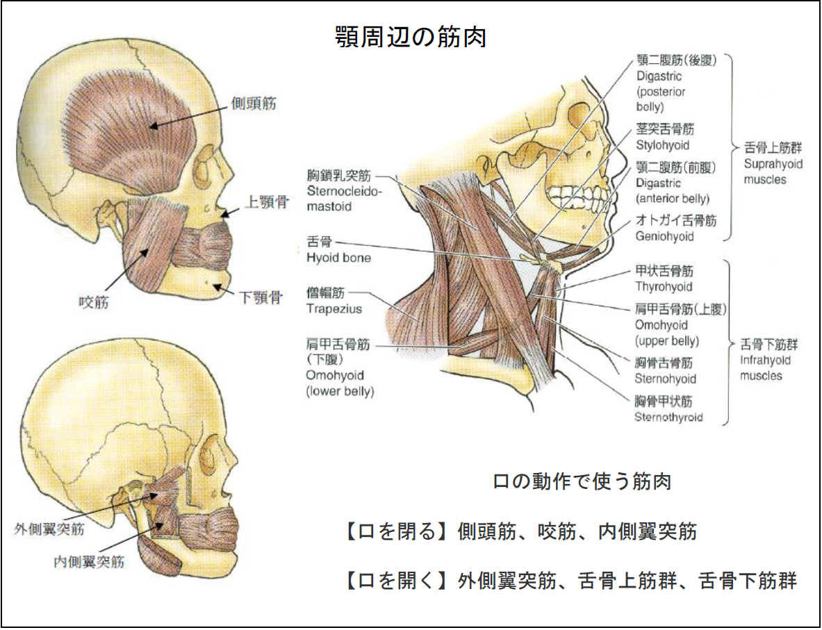 gaku-1